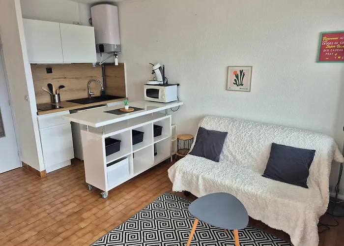 La Desirade J, Renove Avec Parking, Centre Port * Agde